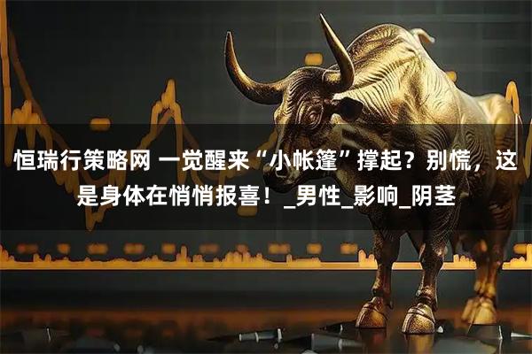 恒瑞行策略网 一觉醒来“小帐篷”撑起？别慌，这是身体在悄悄报喜！_男性_影响_阴茎