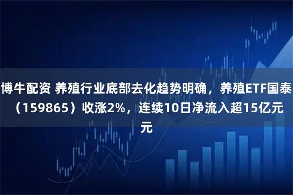 博牛配资 养殖行业底部去化趋势明确，养殖ETF国泰（159865）收涨2%，连续10日净流入超15亿元